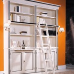 4-door bookcase with ladder